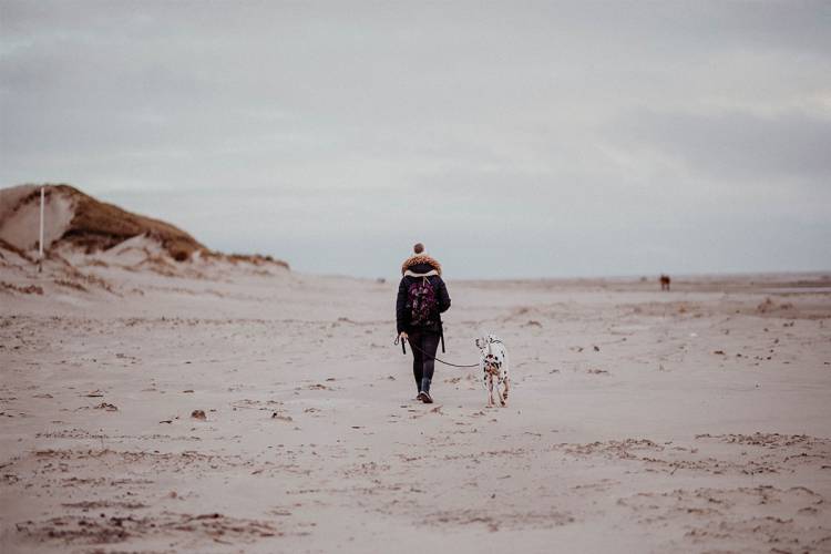 Hundeurlaub auf Amrum